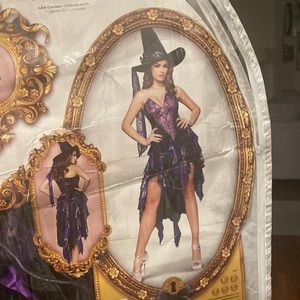 Size small Halloween witch costume colors black and purple includes hat & dress.